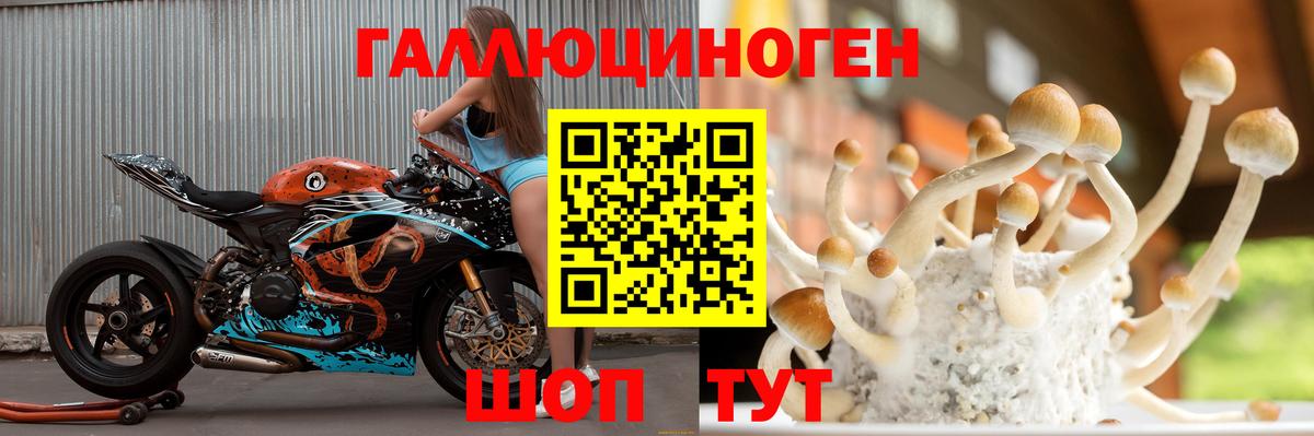 Галлюциногенные грибы ЛСД  Галлюциногенные грибы мухоморы  Вход с VPN  как найти наркотики  Лениногорск 